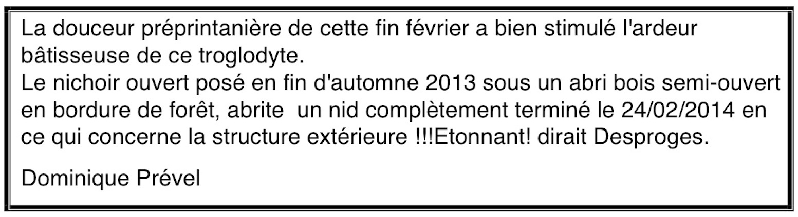 La douceur préprintanière de cette fin février a bien stimulé l.jpg