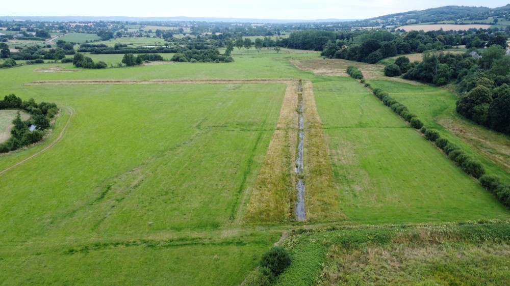 fossés vus de l'ouest.jpg (687.08 Kio) Vu 8980 fois Vu depuis l'ouest; le fossé à droite (sud) est une saulaie discontinue; les deux autres fossés ont été remis en eau et sont doublés de zones en exclos non fauchées et ne seront pâturées que tardivement fin août. Elles sont destinées à sécuriser le cantonnement des passereaux attendus (pour l'instant au moins un territoire de bruant des roseaux et partiellement cisticole et tarier pâtre). Le fonctionnement de ces fossés n'a rien à voir avec celui qui était recherché par l'agriculteur précédent : "nous conservons" notre eau car les fossés sont aveugles, non connectés à d'autres exutoires (Sée ou autres fossés)