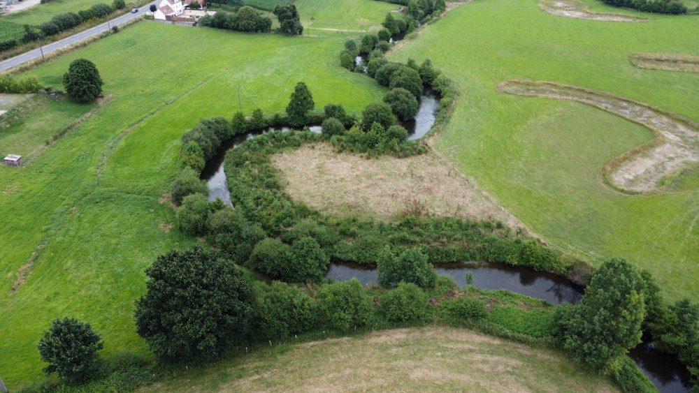 Méandre aval, avec ceinture de boisement replantée pour renforcer la ripisylve; forte concentration de fauvettes, bruant zizi, etc.