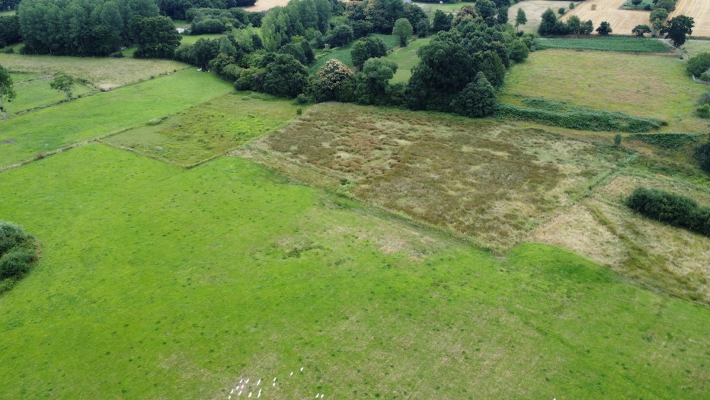 parcelle à jonc et extension SE - copie.jpg (411.55 Kio) Vu 8976 fois Extension acquise en bordure SE, forte concentration de pontes de grenouille rousse, cantonnement du bruant des roseaux, cisticole, hivernage du tarier pâtre.
