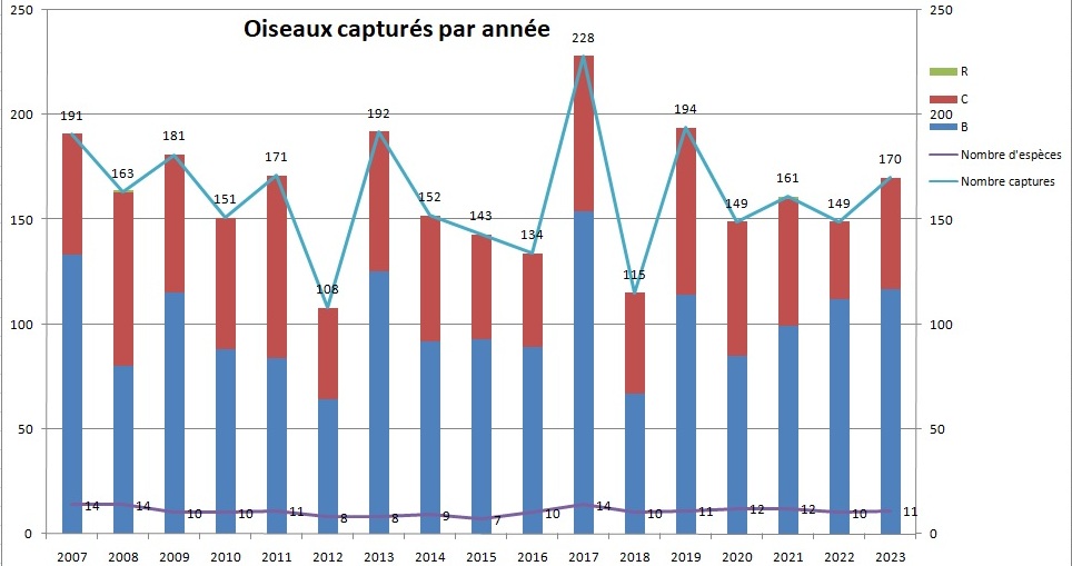 Stoc Caen image.jpg