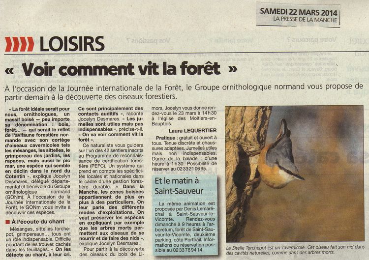 animation Limors112red.jpg