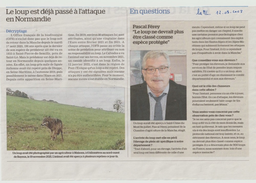 20230812-Loup-Manche-la ML.jpeg (498.4 Kio) Vu 6803 fois La Manche libre, 12 août 2023