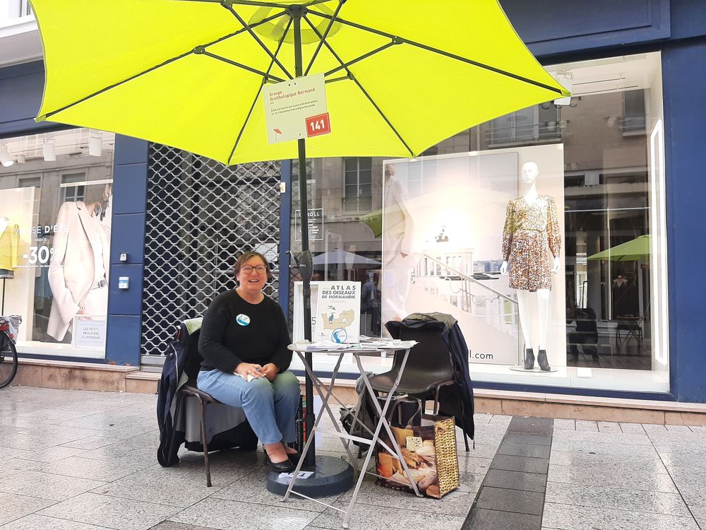 Le matin, à 10h, Joëlle attend les curieux et le soleil.