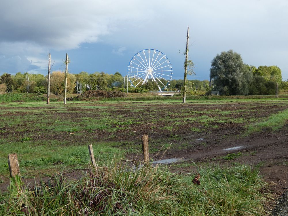 Ancienne peupleraie. Quelques chandelles sont restées pour les pics qui passaient par là auparavant. Photo : Philippe Gachet qui est passé par là aussi mais un jour avant la sortie.