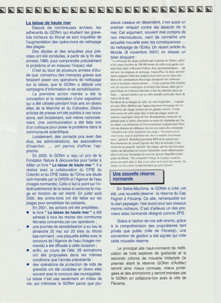 verso n°5