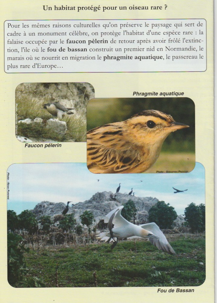 Plaquette verso plié: 3 cas d'espèces fortement liées à des habitats originaux.