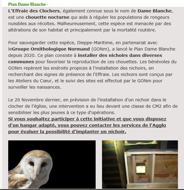 Extrait d'Allliance Nature et biodiversité newsletter  de l'Agglo Dieppe Maritime