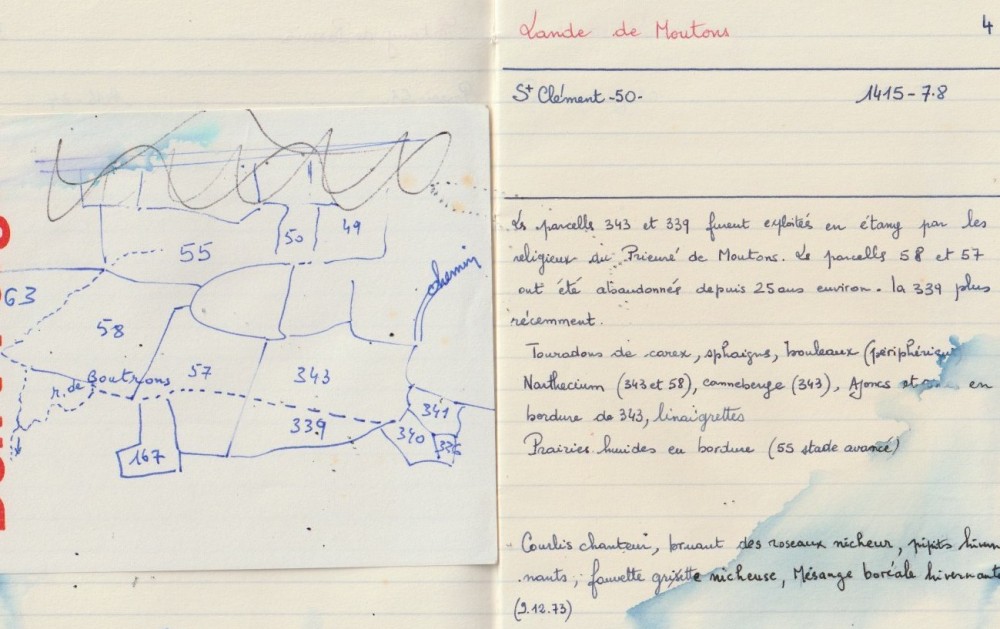 Extrait d'un carnet de tri des secteurs &quot;intéressants&quot; du Sud Manche (vers 1973). La mésange boréale est vue parcelle 55. Le courlis cendré est présent comme nicheur.
