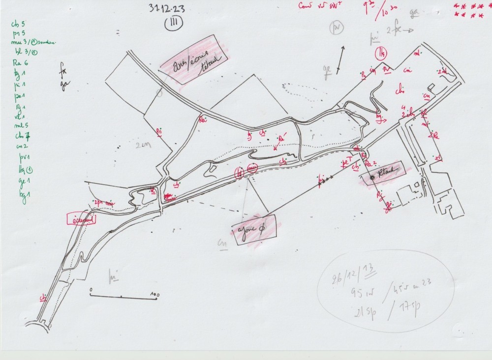 2023 12 23- la Bourdonnière-111.jpeg (351.05 Kio) Vu 24962 fois Relevé du 23 décembre 2023. La mésange bleue et la musicienne chantent, les deux pics sont excités, l'épeiche tambourine. Seulement 9 coups de fusil en 1 h un dimanche matin (les * en haut à droite), c'est peu!