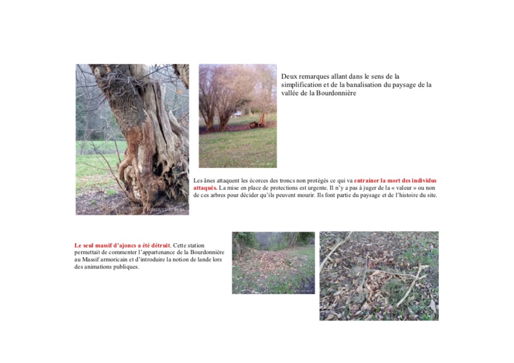 Document2.jpg (481.59 Kio) Vu 22902 fois Annexe au bilan