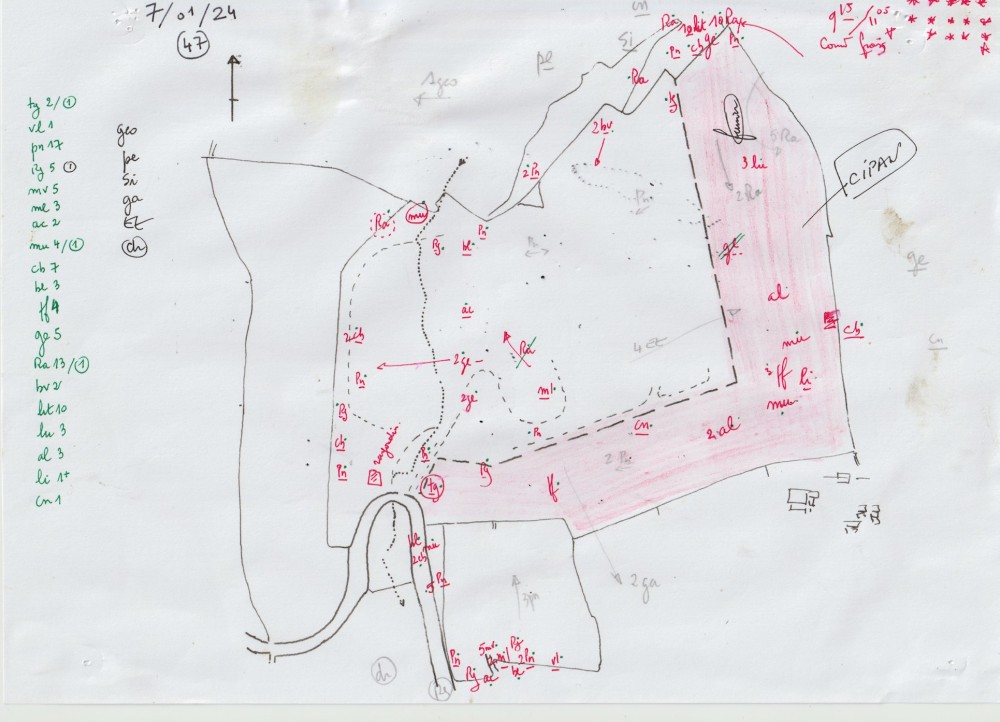 Aa.jpeg (384.05 Kio) Vu 24878 fois relevé cartographique du 7 janvier 2024. Colorée, la parcelle cultivée semée à cette date d'un couvert végétal.