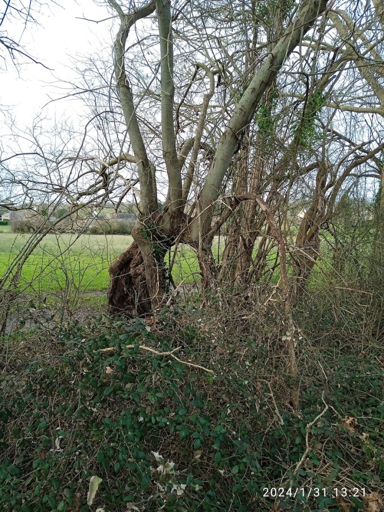 A1.jpg (631.02 Kio) Vu 14094 fois vue globale du sujet