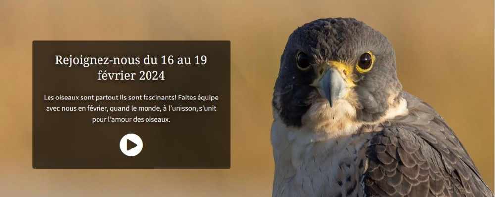 Page d'accueil du Birdcount