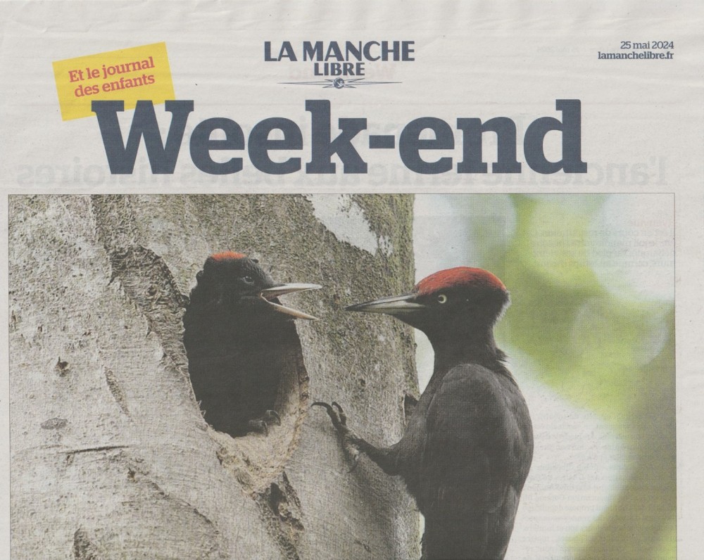 cahier "Week-end" la Manche libre 25 mai 2024