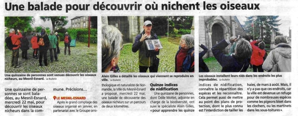 Le-Mesnil-Enard_20240522_Le Bulletin.JPG (122.21 Kio) Vu 11056 fois Le Bulletin 20240522