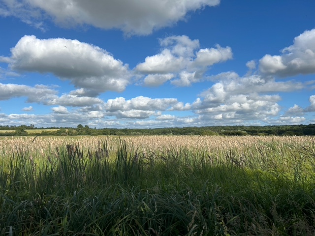 Nouvelle réserve.jpeg