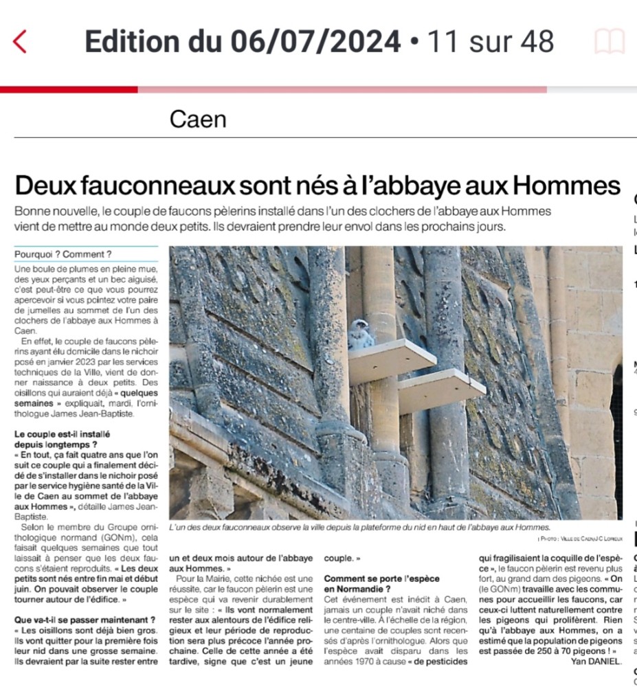 Pelerin_Caen_20240706-OF.jpg (371.89 Kio) Vu 10993 fois Ouest-France_Caen_20240706