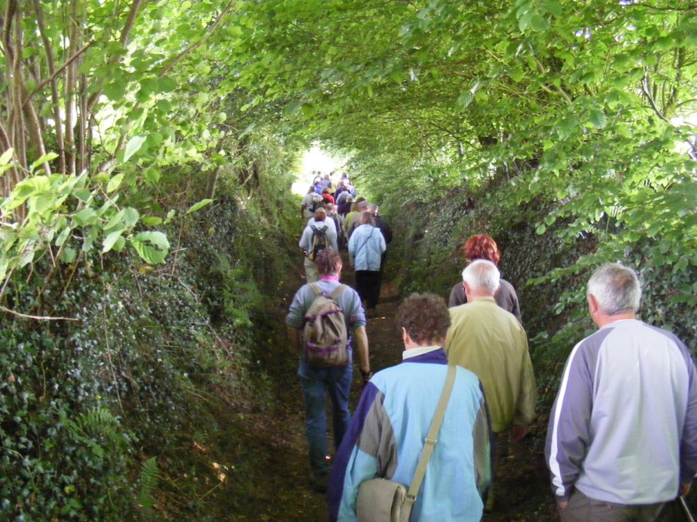 Même si la motivation des randonneurs n'est pas la même que celle des naturalistes, les intérêts des deux groupes convergent : les circuits de randonnée jouissent d'une certaine protection locale.