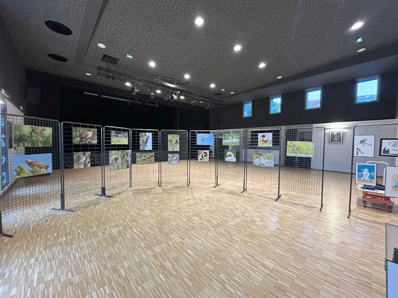 photo Gérard Debout