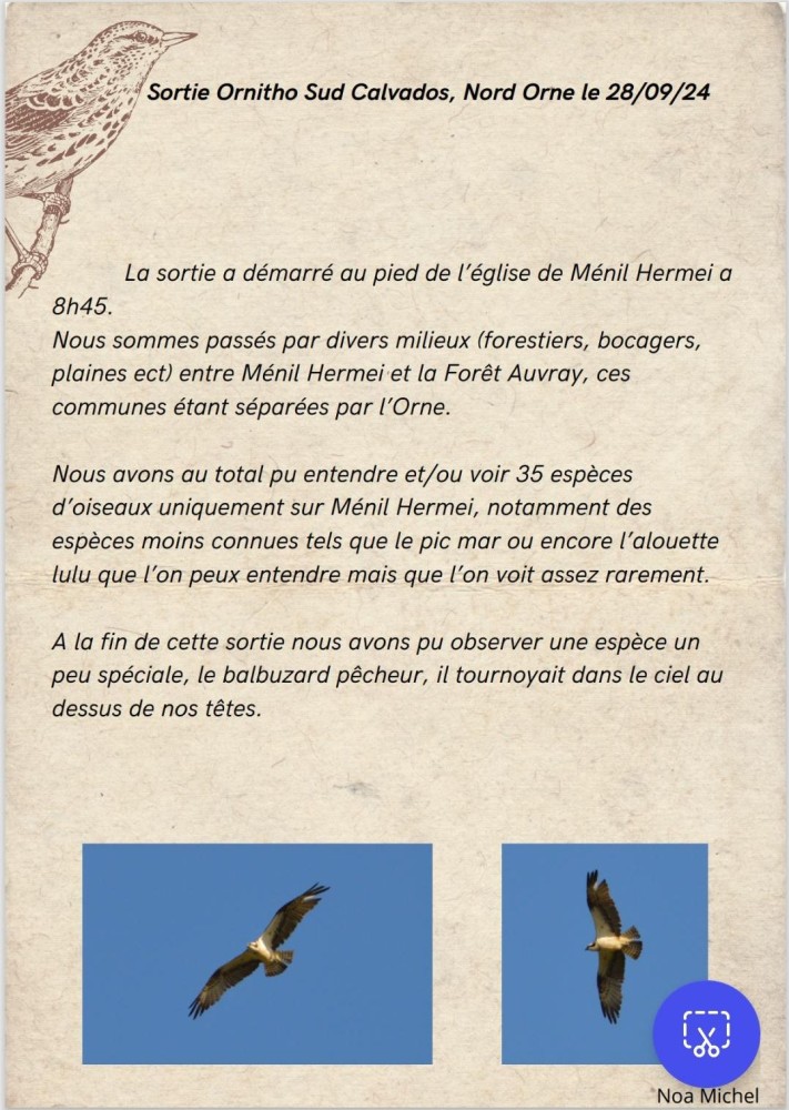 Ménil-Hermei CR 20241003.jpg (265.41 Kio) Vu 10625 fois Compte-rendu de Noa Michel du 28/09/2024