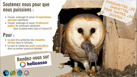 Affiche la campagne