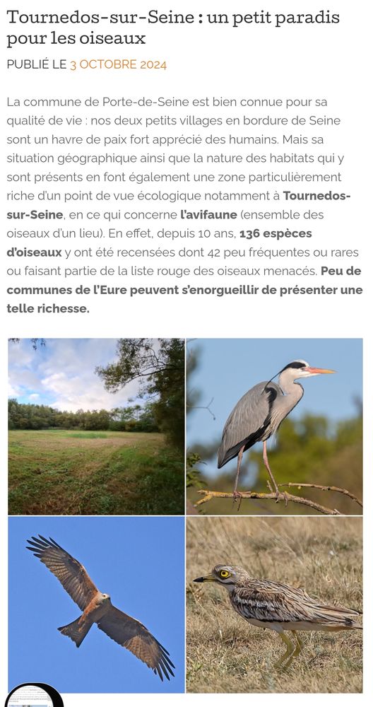 Tournedos_20241015-revue Porte-Joie.jpg