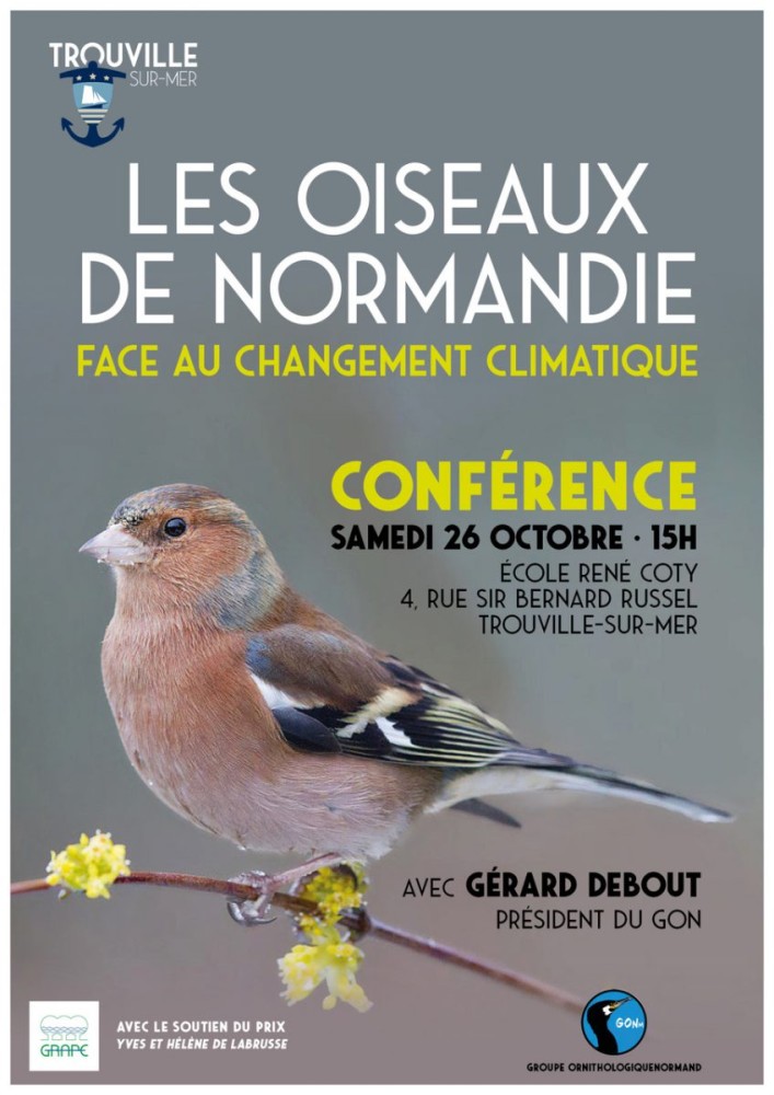 Oiseaux-normands (1).jpeg