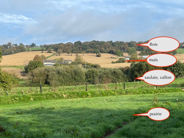 vue partielle vers le nord à partir des prairies du refuge