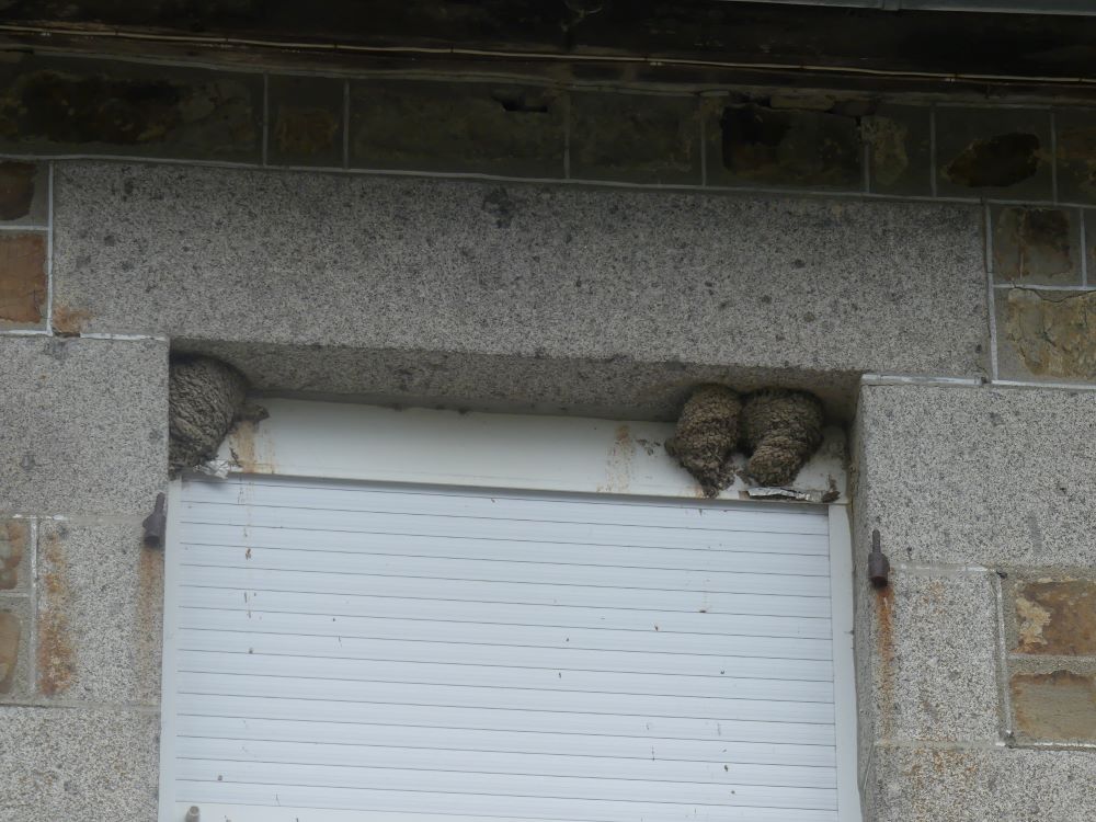 fenêtre mairie de Vernix.JPG