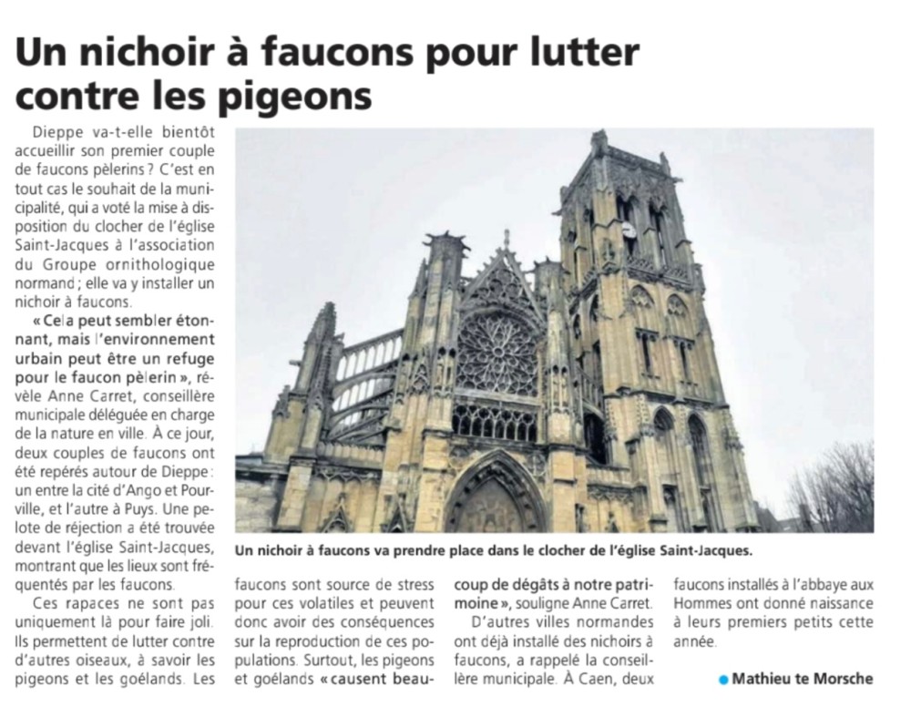 pélerin infos dieppoises 20_12_2024.jpg (281.11 Kio) Vu 10699 fois Informations dieppoises_20240112