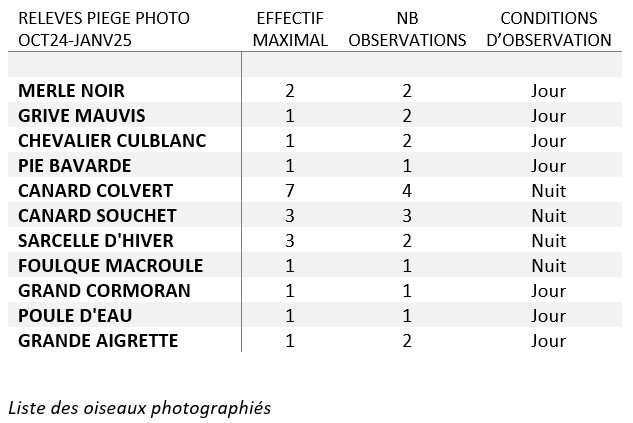 piège_photo.jpg