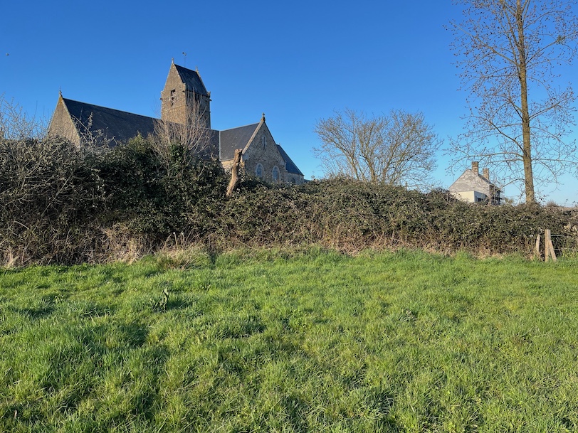 Vue générale du roncier