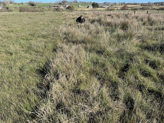 Le nid est situé à 5 m devant Eric