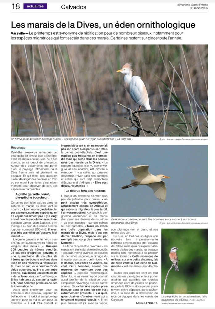 Marais_Dives_OF dimanche_20250330.jpg (563.53 Kio) Vu 43237 fois Ouest-France Dimanche 20250330