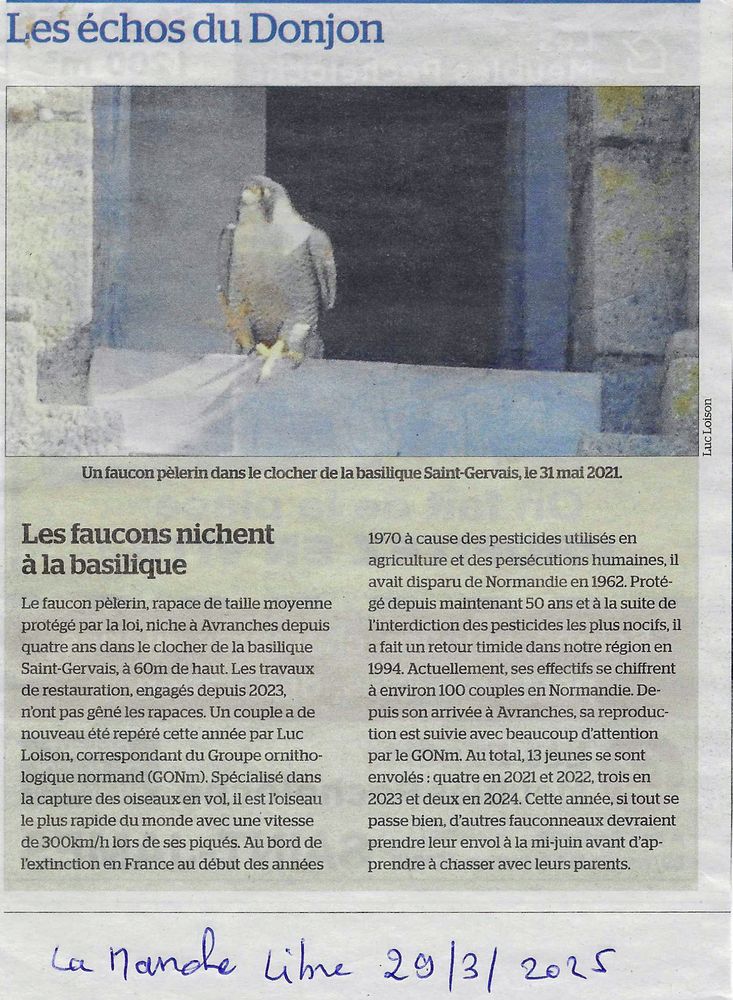 La Manche libre_ page_locale_20250329