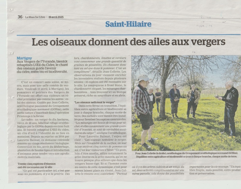 La Manche libre