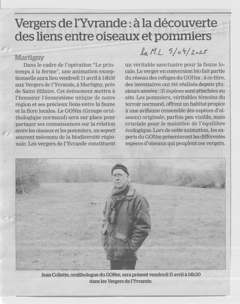 la Manche libre en annonce