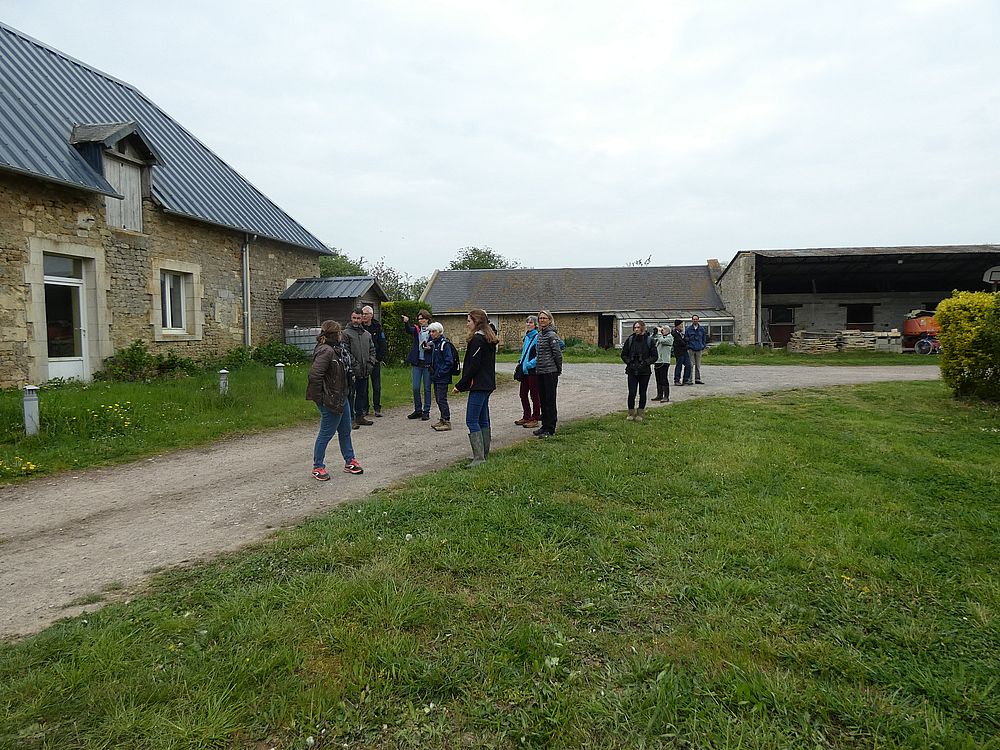 Le groupe de participants dans la cour de la ferme. Au bas de la gouttière à gauche, une cavité de mésange bleue et merlette couvant sous l'appentis à gauche. Bergeronnette grise sur le toit.