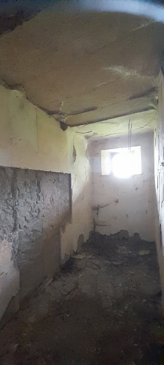 Les hirondelles rustiques ont commencé à s'installer dans le blockhaus qui se trouve à l'entrée de la ferme. (Photo : François Bizeul)