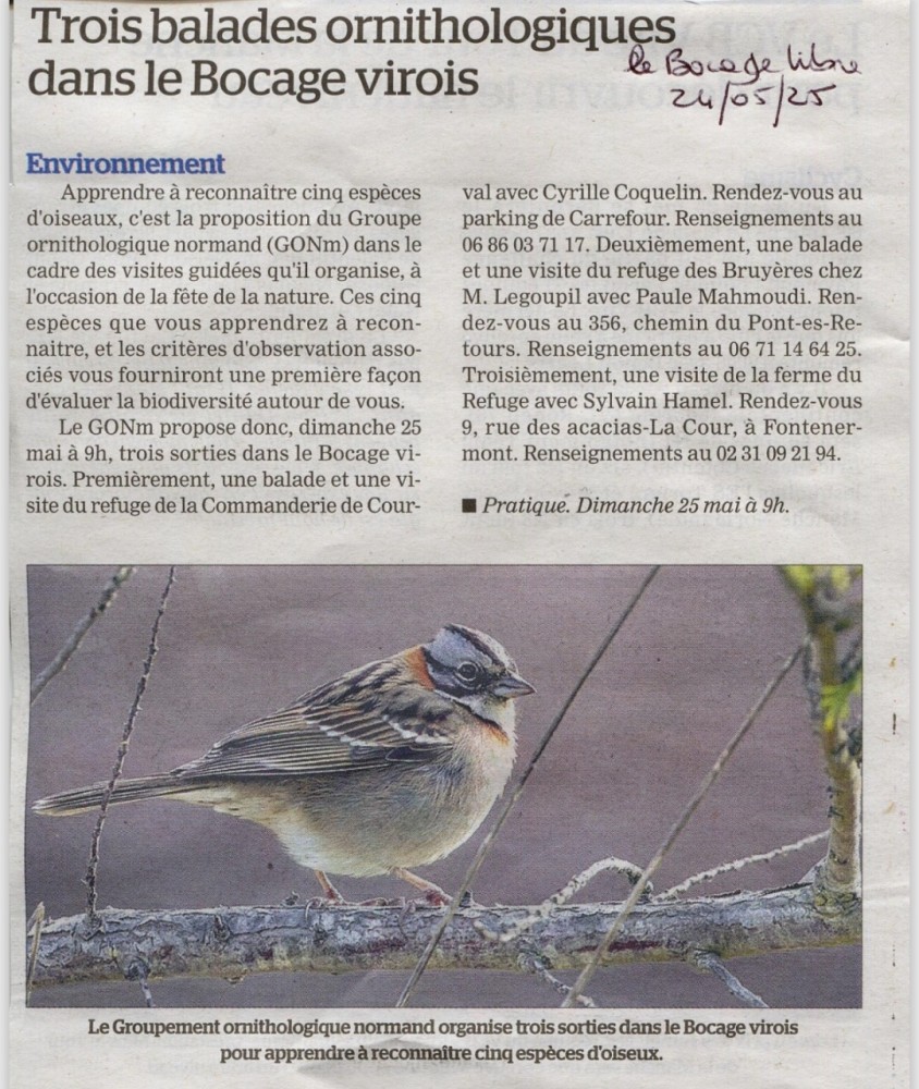 Bocage libre_Vire_20250524