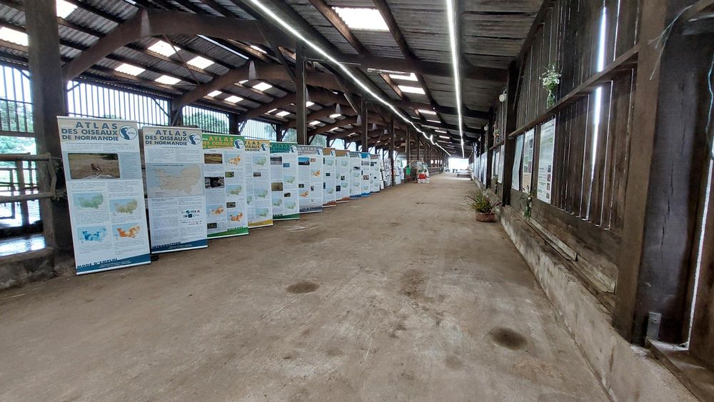 L'expo atlas dans la stabul