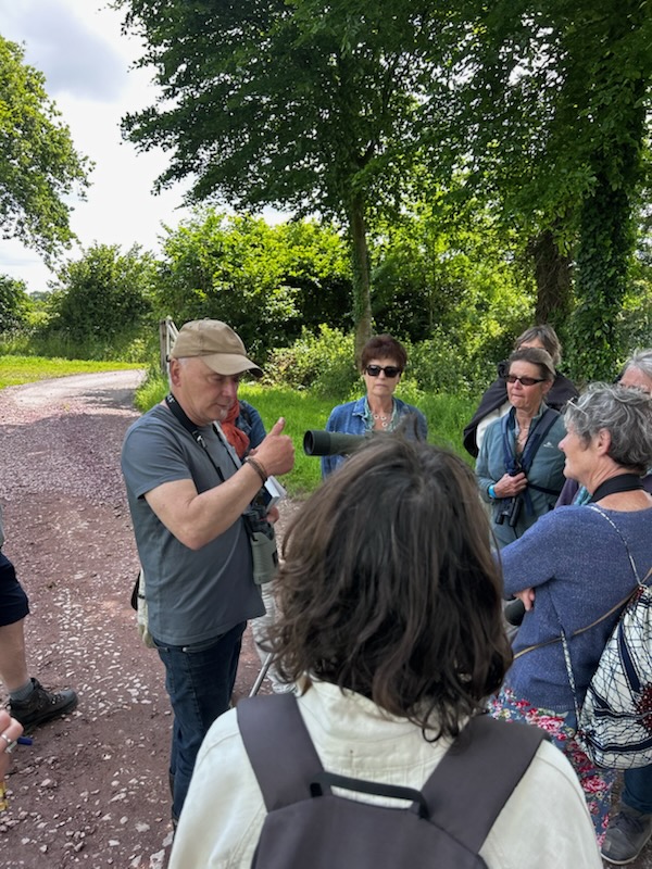 L'animation ornithologique