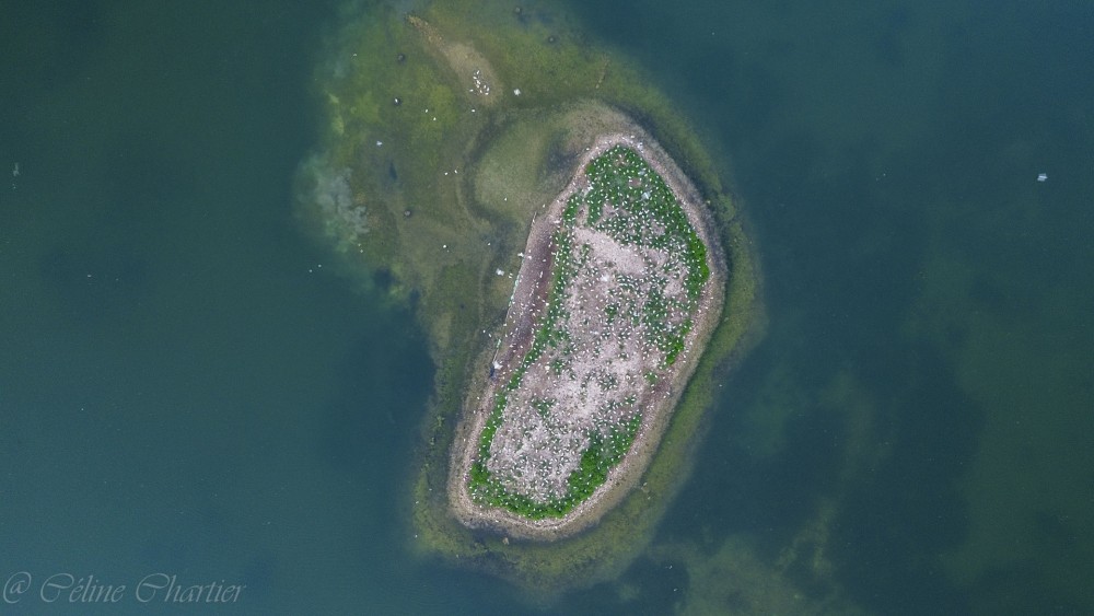 02052025-DJI_0154.jpg