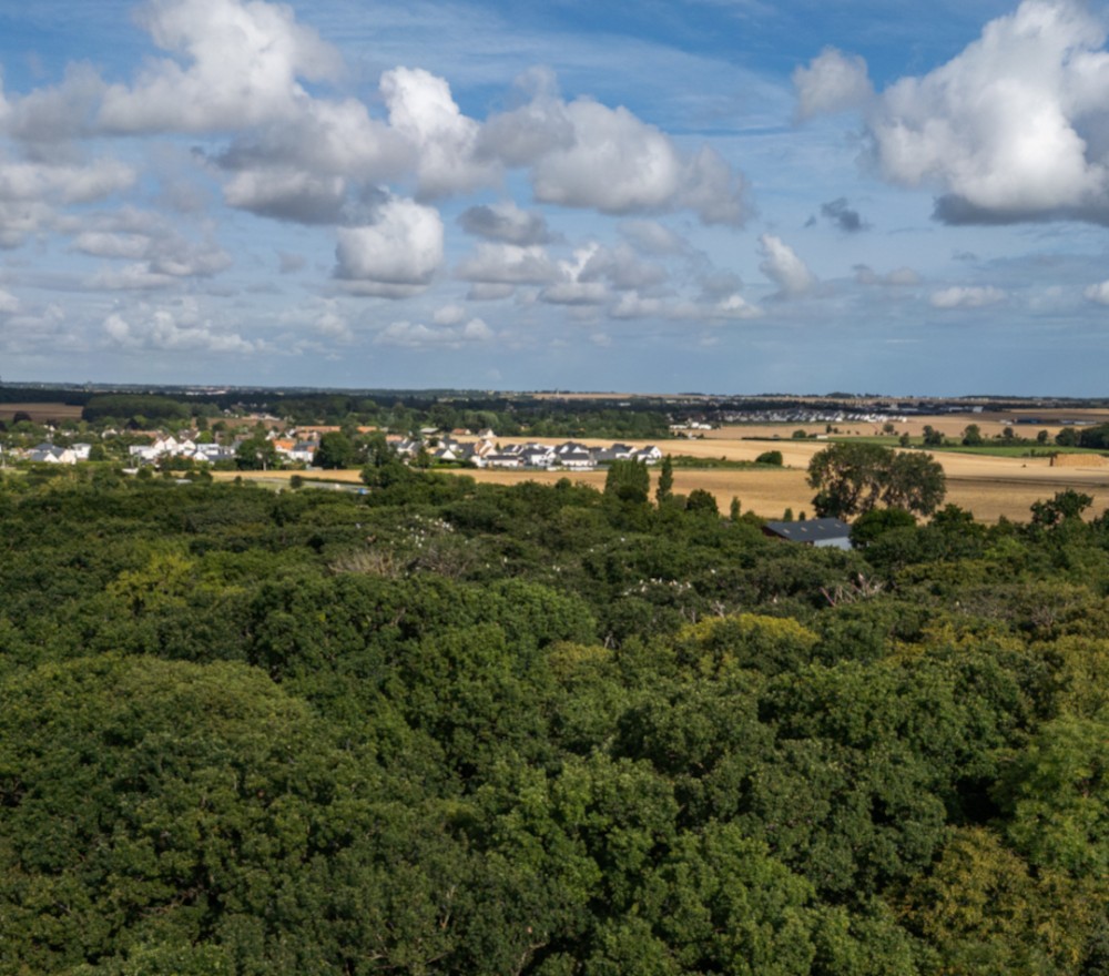 20250715_Héronnière_loin.jpg (701.02 Kio) Vu 6881 fois Héronnière_de_loin ©Jean-Marc JANSEN