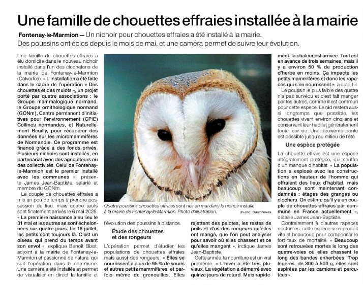 Effraie_20250722_Ouest-France.jpg