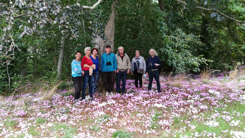 Les participants dans les cyclamens