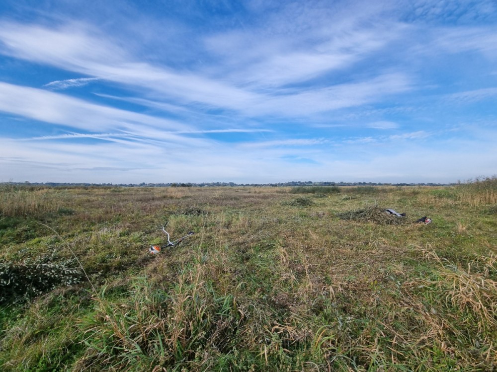 Chantier gabion Anne oct 25.jpg