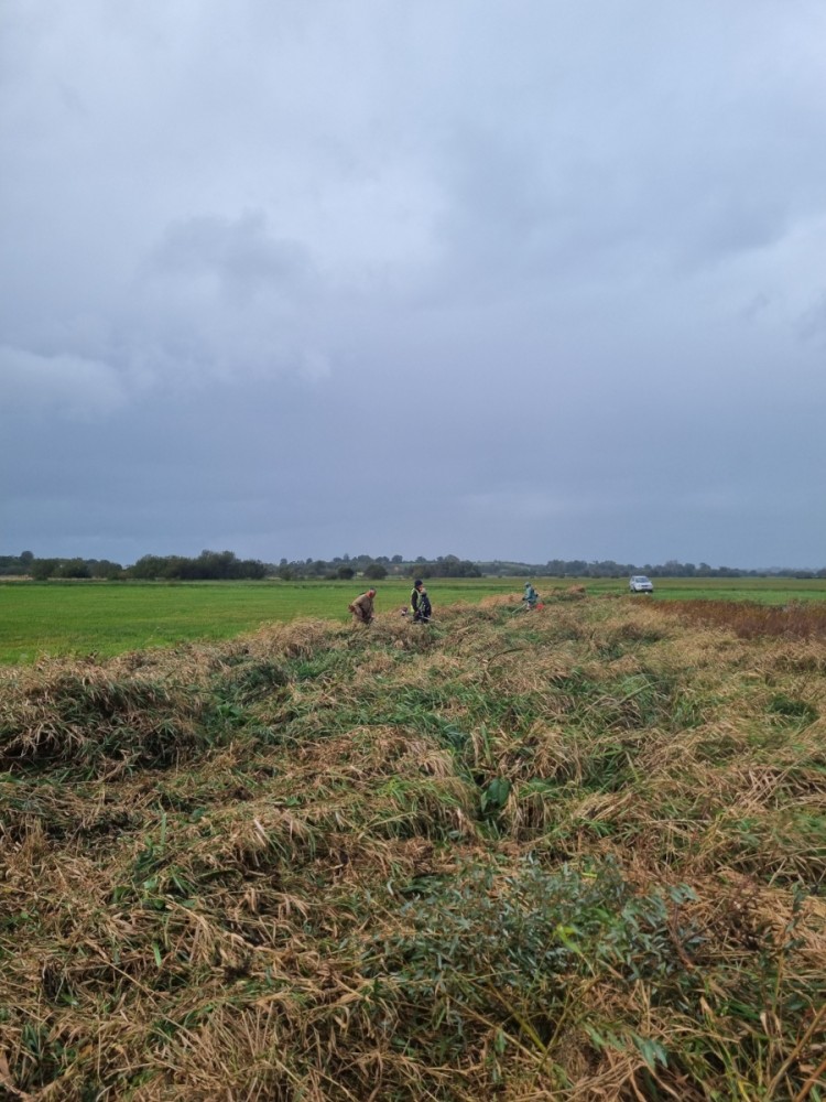 Chantier Semnard 23-10-25_2.jpg