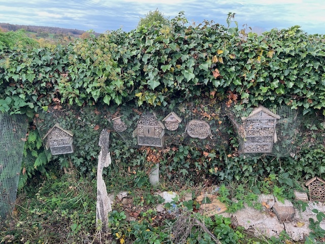 ensemble des nichoirs à insecte du potager